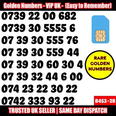 GOLD EASY MOBILE NUMBER MEMORABLE PLATINUM VIP UK PAY AS YOU GO SIM LOT B453-2B