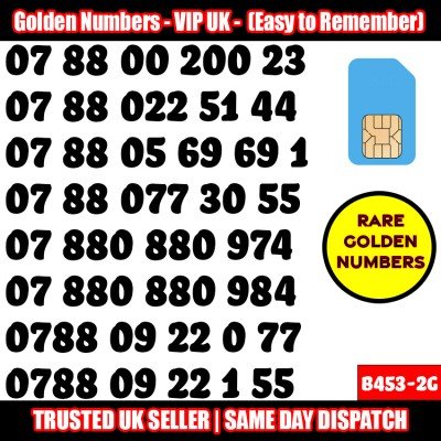 GOLD EASY MOBILE NUMBER MEMORABLE PLATINUM VIP UK PAY AS YOU GO SIM LOT B453-2G