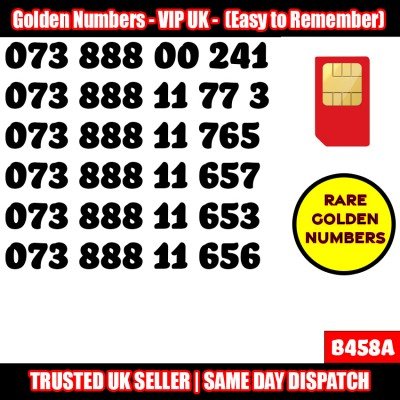 GOLD EASY MOBILE NUMBER MEMORABLE PLATINUM VIP UK PAY AS YOU GO SIM LOT B458A