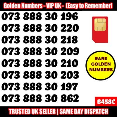 GOLD EASY MOBILE NUMBER MEMORABLE PLATINUM VIP UK PAY AS YOU GO SIM LOT B458C