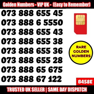 GOLD EASY MOBILE NUMBER MEMORABLE PLATINUM VIP UK PAY AS YOU GO SIM LOT B458E