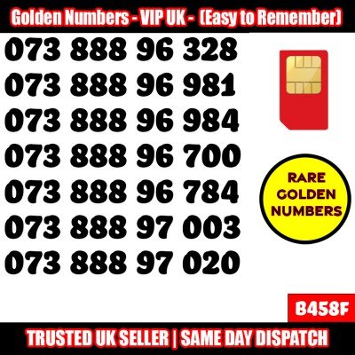 GOLD EASY MOBILE NUMBER MEMORABLE PLATINUM VIP UK PAY AS YOU GO SIM LOT B458F