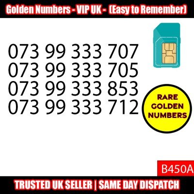 GOLD EASY MOBILE NUMBER MEMORABLE PLATINUM VIP UK PAY AS YOU GO SIM LOT - B450A