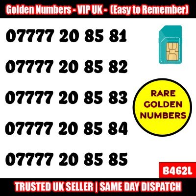 GOLD EASY MOBILE NUMBER MEMORABLE PLATINUM VIP UK PAY AS YOU GO SIM LOT - B462L