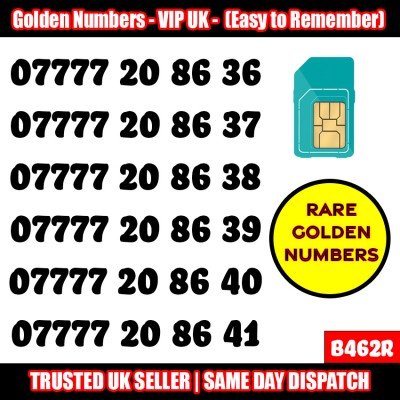 GOLD EASY MOBILE NUMBER MEMORABLE PLATINUM VIP UK PAY AS YOU GO SIM LOT - B462R